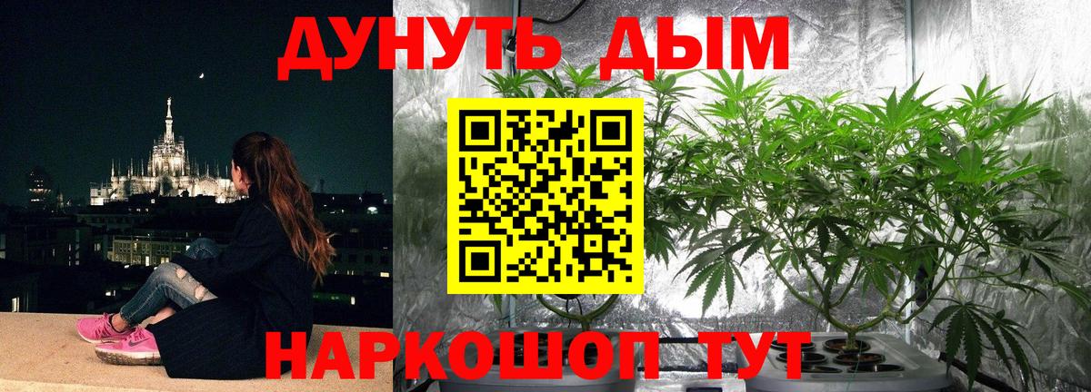 Бошки Шишки Bruce Banner Топки